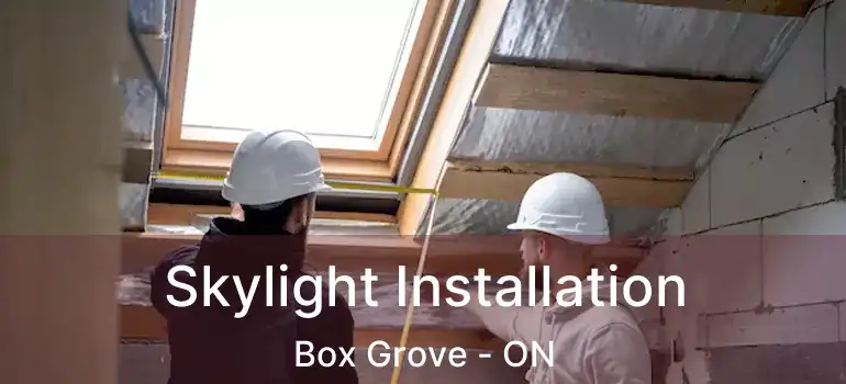  Skylight Installation Box Grove - ON