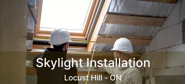  Skylight Installation Locust Hill - ON