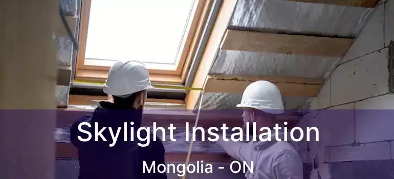  Skylight Installation Mongolia - ON