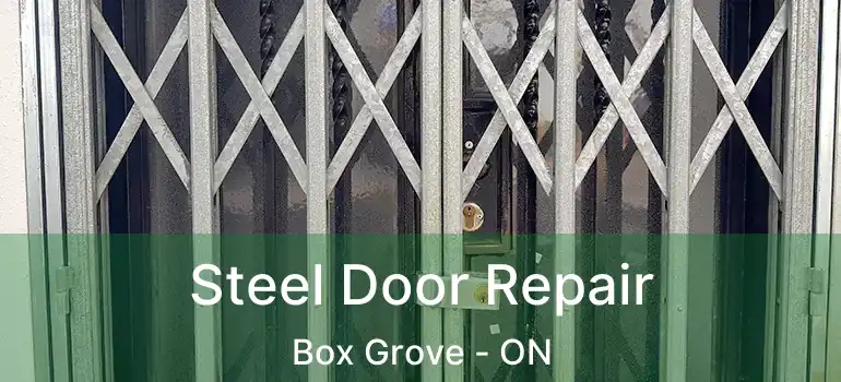  Steel Door Repair Box Grove - ON