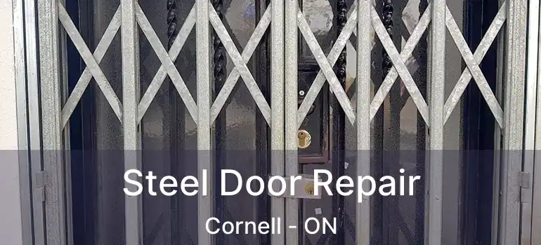 Steel Door Repair Cornell - ON
