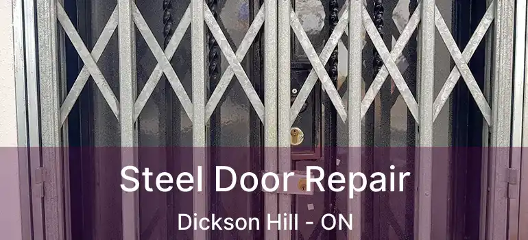  Steel Door Repair Dickson Hill - ON