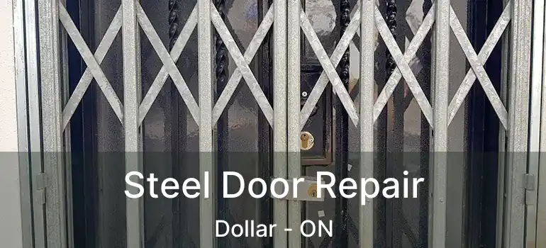  Steel Door Repair Dollar - ON