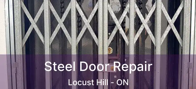  Steel Door Repair Locust Hill - ON