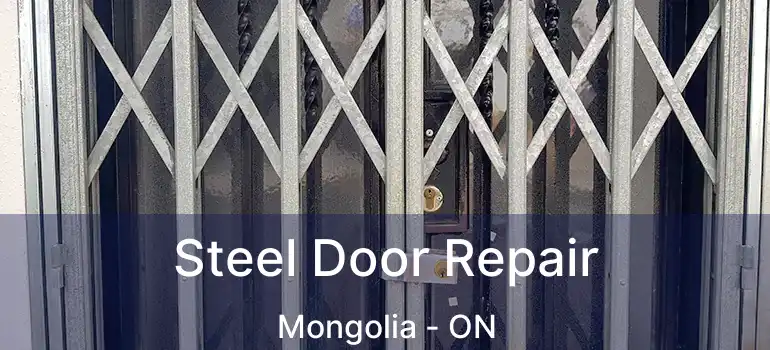  Steel Door Repair Mongolia - ON