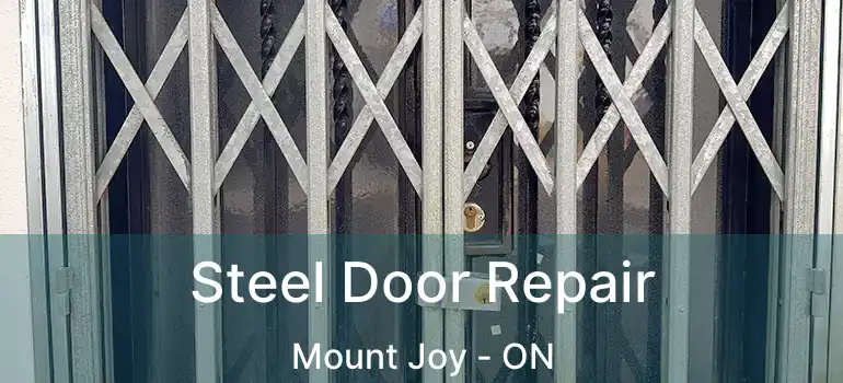  Steel Door Repair Mount Joy - ON