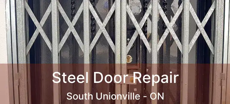  Steel Door Repair South Unionville - ON