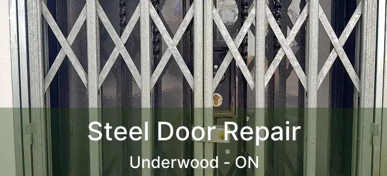  Steel Door Repair Underwood - ON