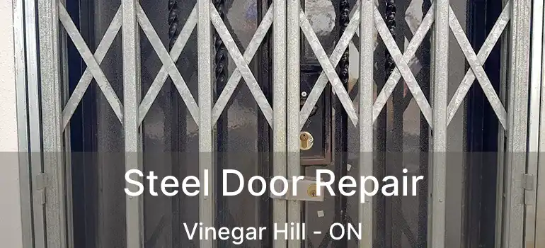  Steel Door Repair Vinegar Hill - ON