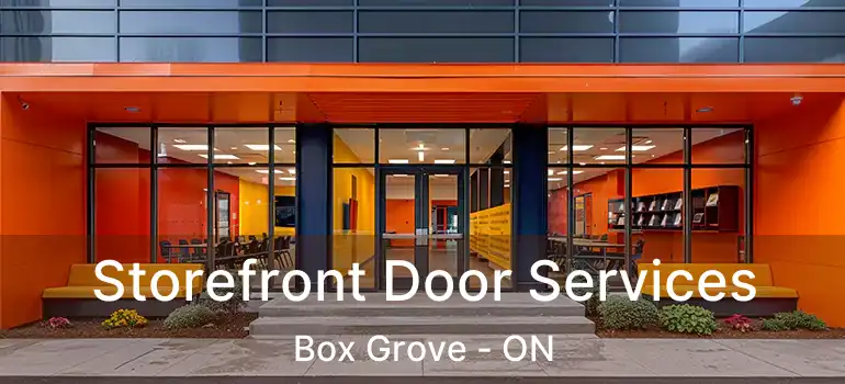  Storefront Door Services Box Grove - ON