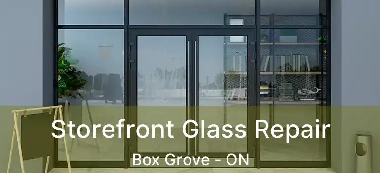  Storefront Glass Repair Box Grove - ON