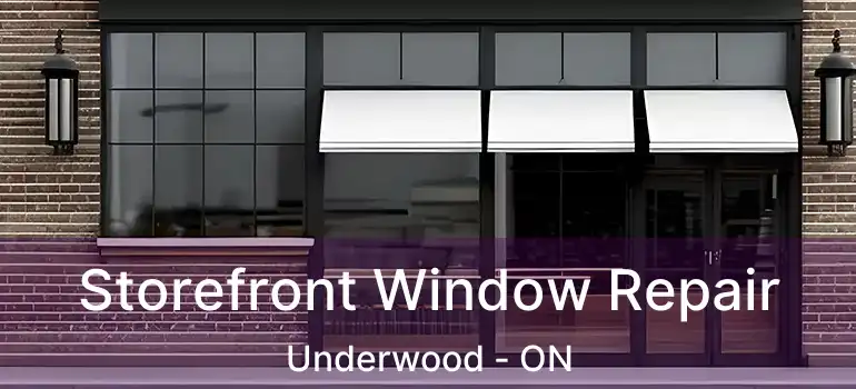  Storefront Window Repair Underwood - ON