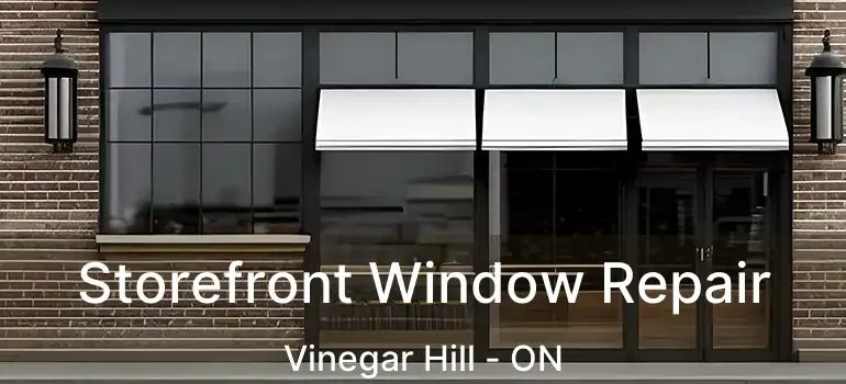  Storefront Window Repair Vinegar Hill - ON