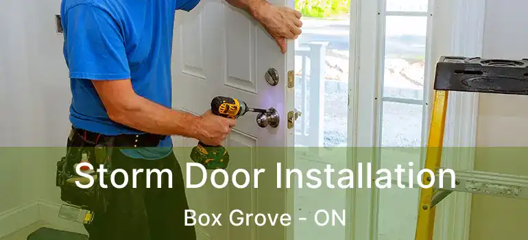  Storm Door Installation Box Grove - ON