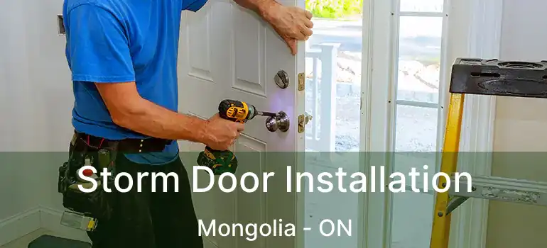  Storm Door Installation Mongolia - ON