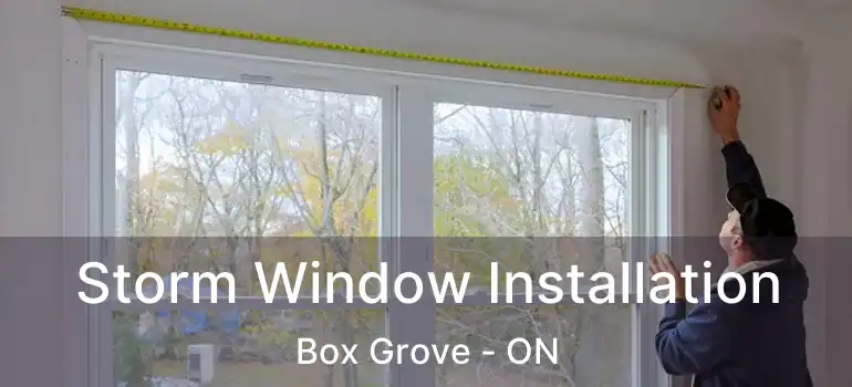  Storm Window Installation Box Grove - ON