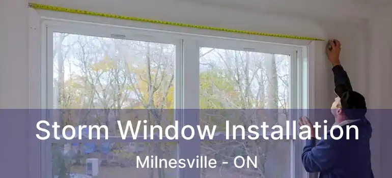  Storm Window Installation Milnesville - ON