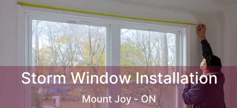  Storm Window Installation Mount Joy - ON