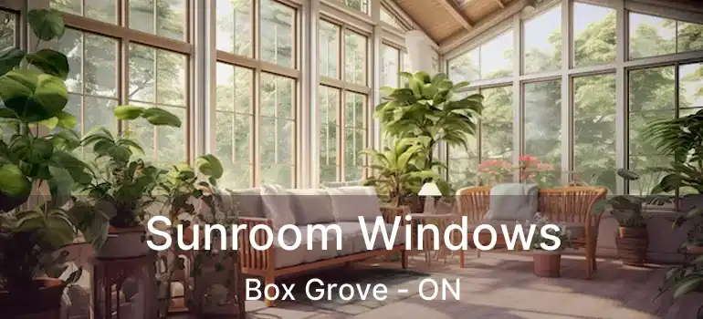  Sunroom Windows Box Grove - ON
