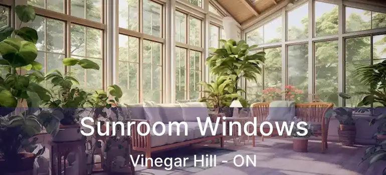  Sunroom Windows Vinegar Hill - ON