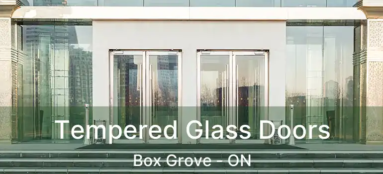  Tempered Glass Doors Box Grove - ON