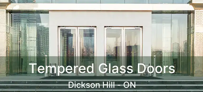  Tempered Glass Doors Dickson Hill - ON