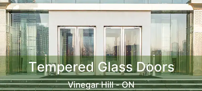  Tempered Glass Doors Vinegar Hill - ON