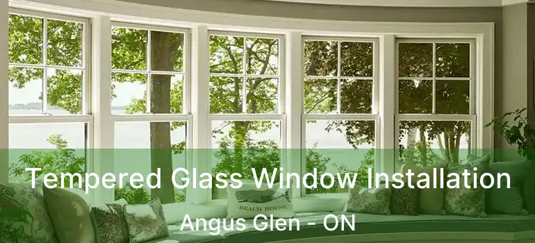  Tempered Glass Window Installation Angus Glen - ON