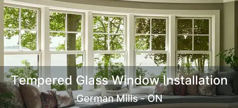  Tempered Glass Window Installation German Mills - ON
