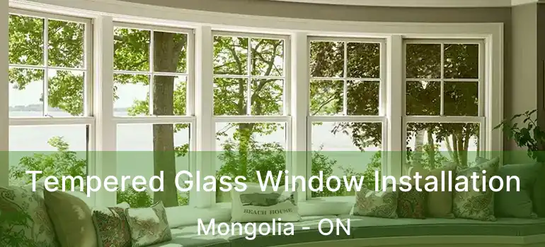  Tempered Glass Window Installation Mongolia - ON