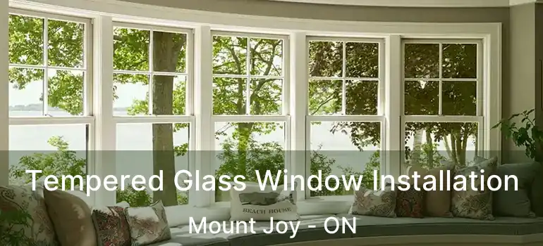  Tempered Glass Window Installation Mount Joy - ON