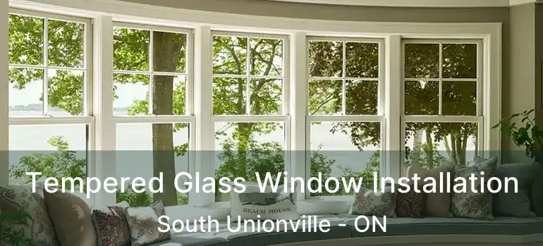  Tempered Glass Window Installation South Unionville - ON