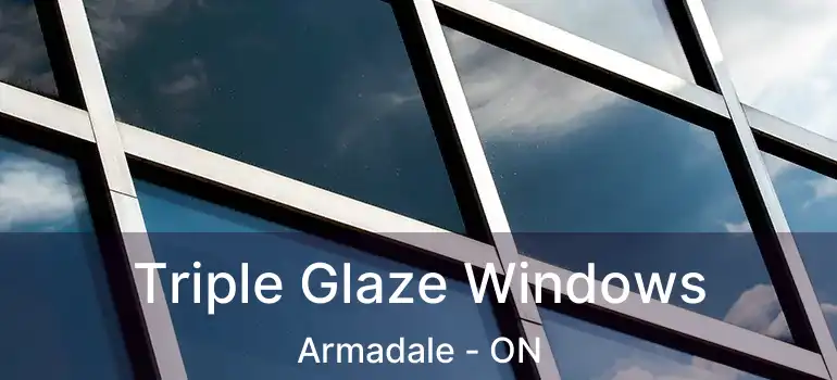  Triple Glaze Windows Armadale - ON
