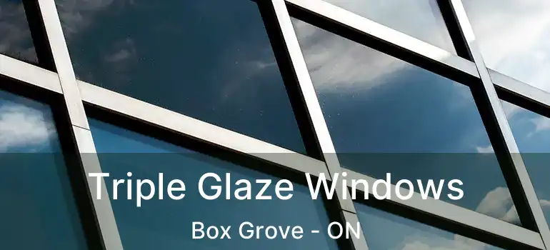  Triple Glaze Windows Box Grove - ON