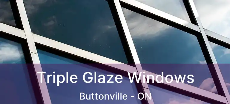  Triple Glaze Windows Buttonville - ON