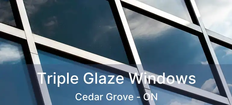  Triple Glaze Windows Cedar Grove - ON
