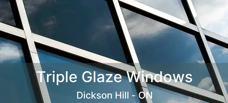  Triple Glaze Windows Dickson Hill - ON