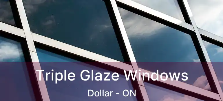  Triple Glaze Windows Dollar - ON