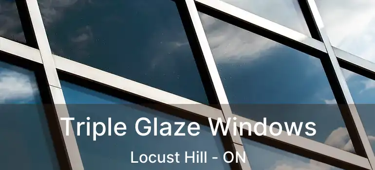  Triple Glaze Windows Locust Hill - ON
