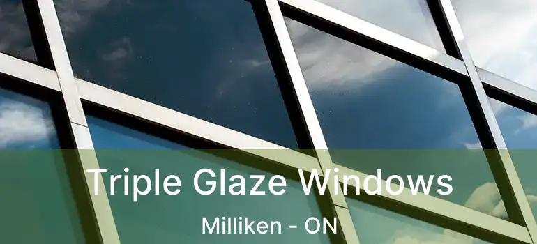  Triple Glaze Windows Milliken - ON