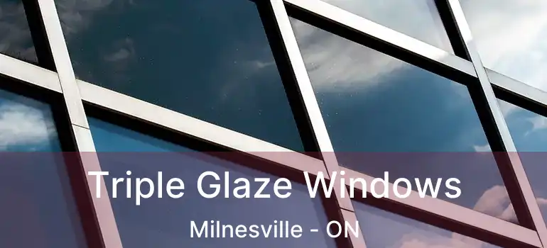  Triple Glaze Windows Milnesville - ON