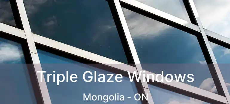  Triple Glaze Windows Mongolia - ON
