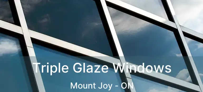  Triple Glaze Windows Mount Joy - ON
