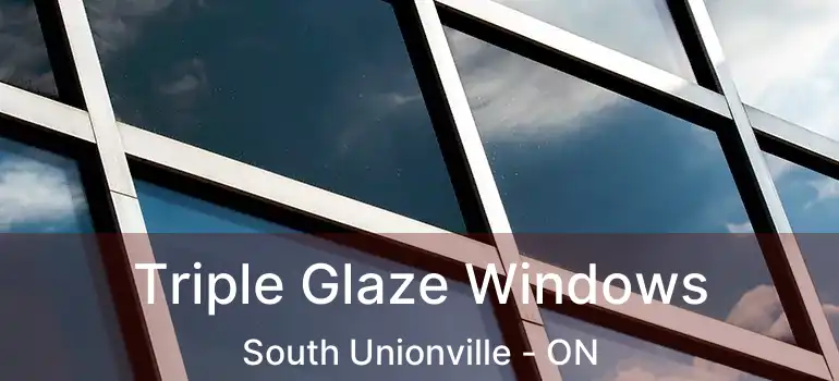  Triple Glaze Windows South Unionville - ON