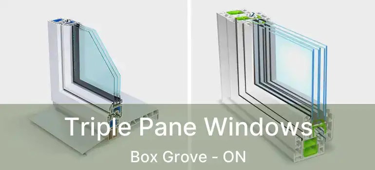  Triple Pane Windows Box Grove - ON
