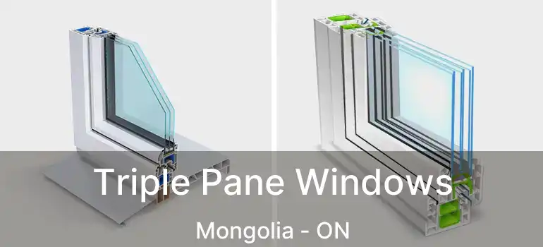  Triple Pane Windows Mongolia - ON