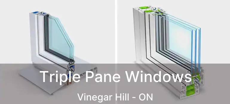  Triple Pane Windows Vinegar Hill - ON