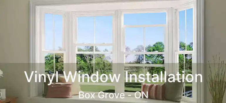  Vinyl Window Installation Box Grove - ON