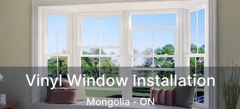  Vinyl Window Installation Mongolia - ON