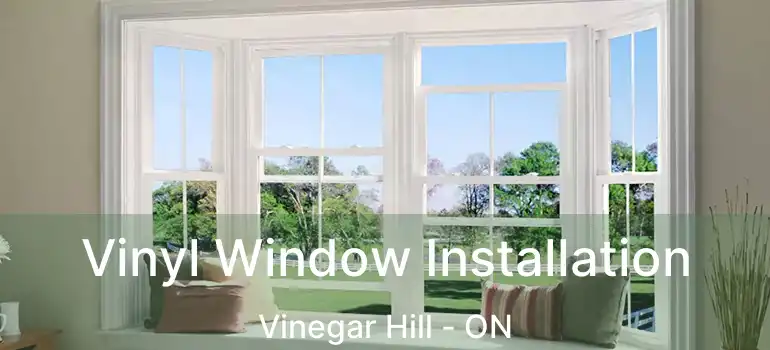  Vinyl Window Installation Vinegar Hill - ON